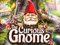 The Curious Gnome