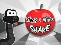 Black & White Snake