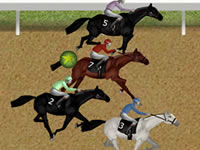 Horse Racing Simulation LLC