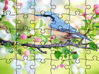 Jigsaw Puzzle Spring