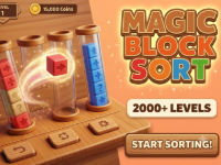 Magic Block Sort